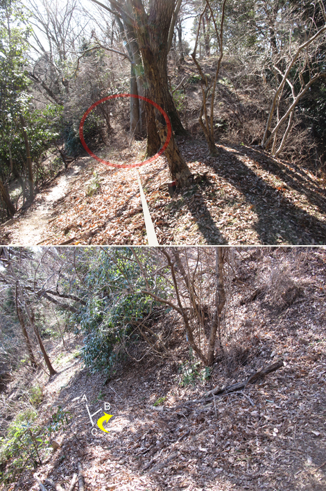 20170126hike (84)